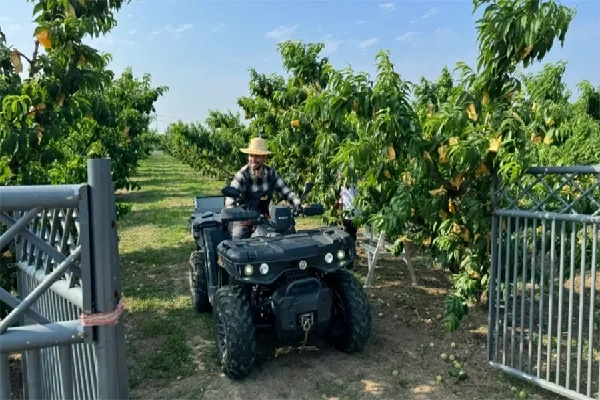 Farm ATV Utility Vehicles Electric 4x4 Quad for Agriculture Use