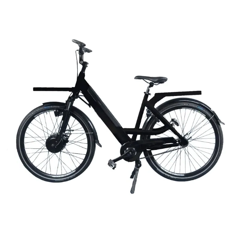 Pizza Delivery Electric Bike