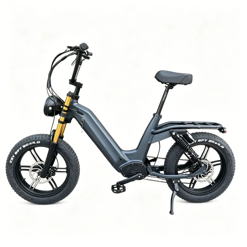 20IN Fat Tire Full Suspension Electric Bike