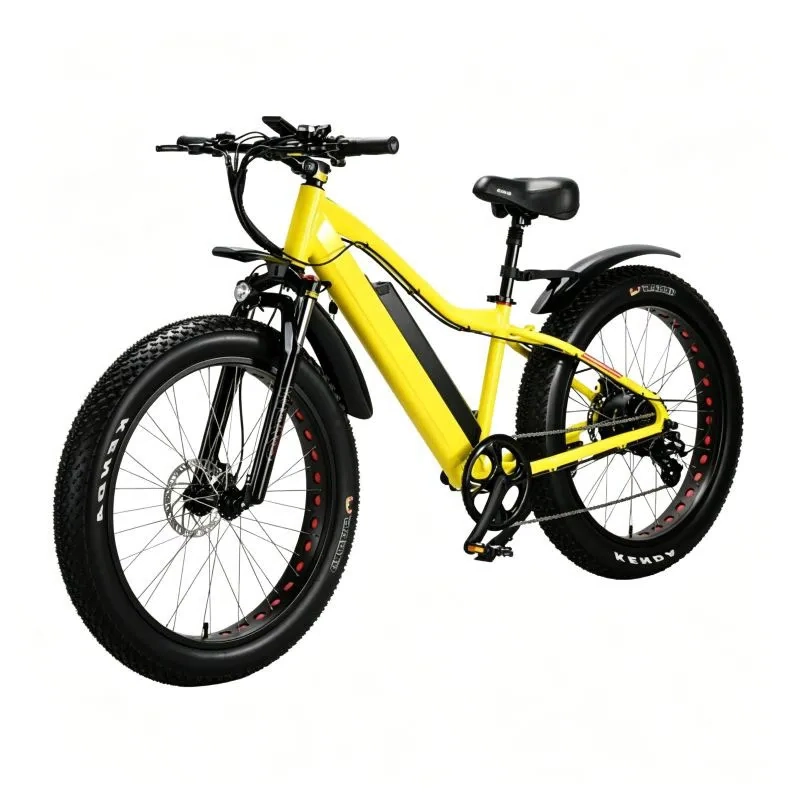 26IN Fat Tire Mountain Electric Bike