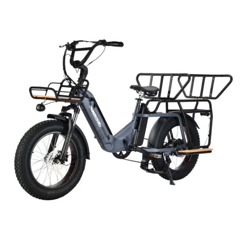 20In Electric Cargo Bike